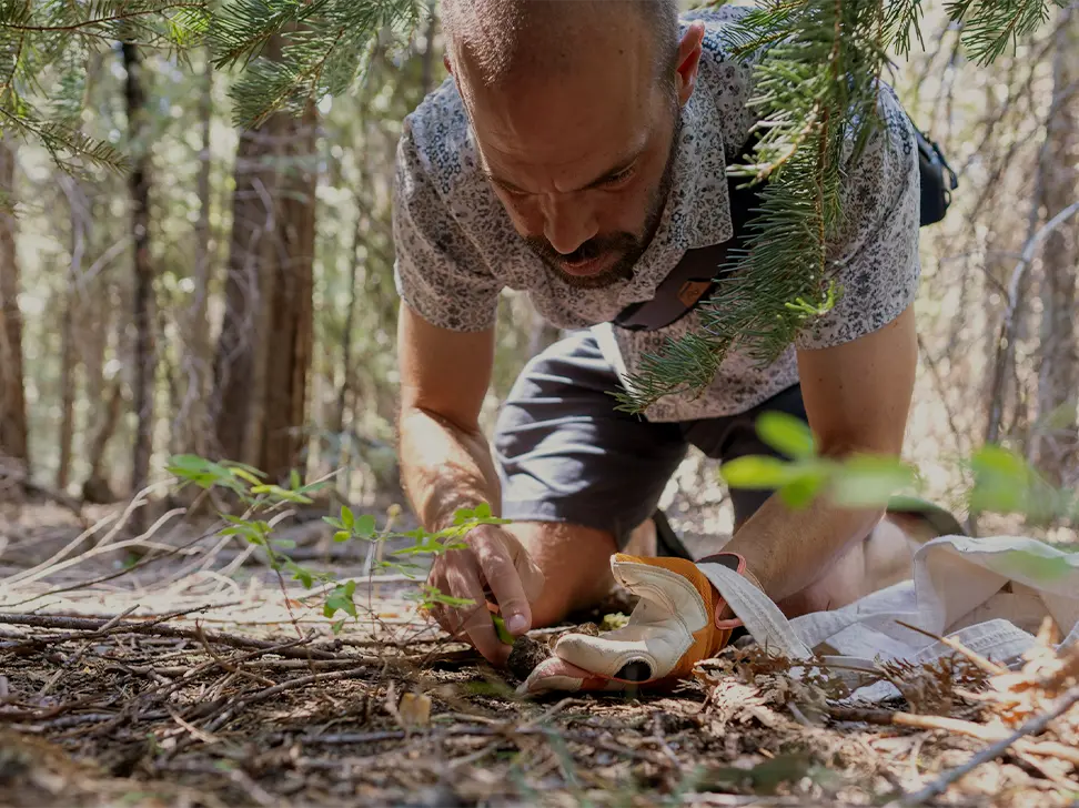 Man kneeling on the forest floor closely examining plants and soil while surrounded by trees.